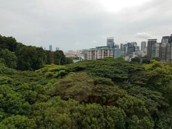 Cavenagh House (D9), Apartment #603212031